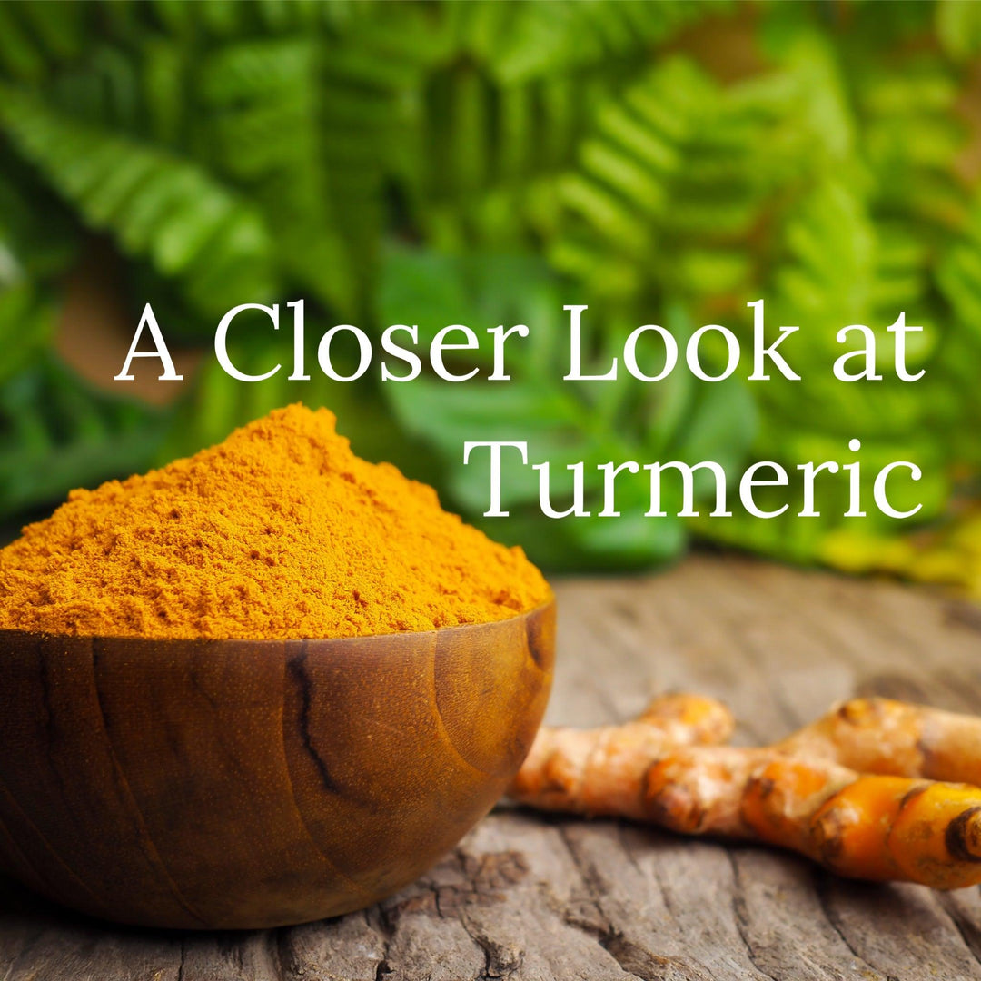 Turmeric: What’s the Real Story? Is it Safe During Pregnancy?